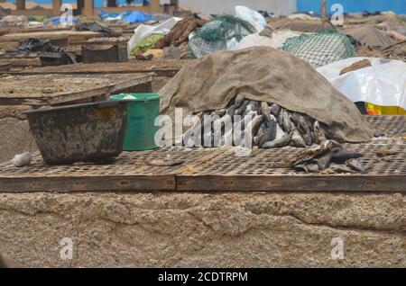 Racks von sonnengetrocknetem (guédj), gesalzenem und/oder geräuchertem Fisch (kétiakh) in Cayar (Senegal), einem unverzichtbaren Lebensmittel in ganz Westafrika Stockfoto