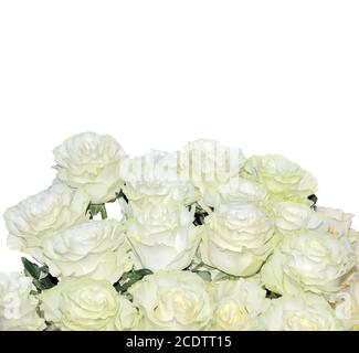 Schöne florale Hintergrund mit weißen Rosen Bouquet auf weiß isoliert Stockfoto