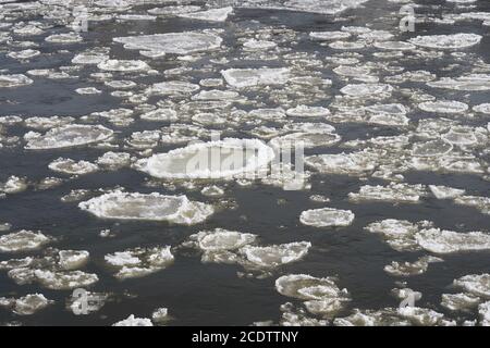 Eisschollen an der Elbe bei Magdeburg auf einer Kalter Wintertag Stockfoto