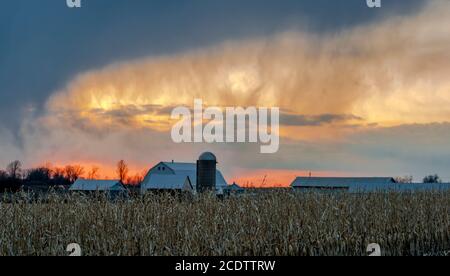 Unheimlicher Himmel bei Sonnenuntergang über der Farm Stockfoto