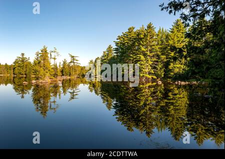 Baumreflexe auf ruhigen See Wasser Stockfoto