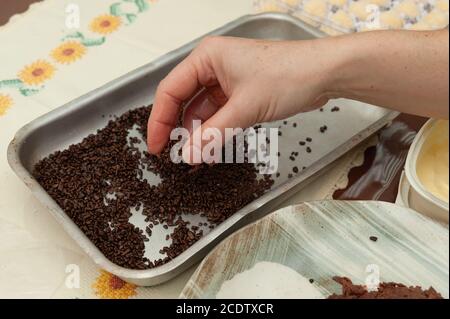 Nahaufnahme von Frauenhänden, die köstliche und traditionelle Brigadeiros (brasilianische Fudge Balls) auf einem Aluminiumtablett machen. Draufsicht. Horizontale Aufnahme. Stockfoto