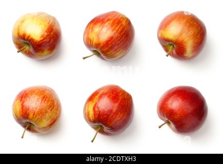 Äpfel isoliert auf weißem Hintergrund Stockfoto