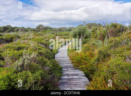 Promenade in der schönen nassen Land Landschaft Stockfoto