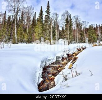 Frühlingshafte Landschaft im Wald mit schmelzendem Schnee und Bach Stockfoto
