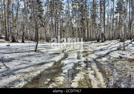 Frühlingshafte Landschaft im Wald mit schmelzendem Schnee und Bach Stockfoto