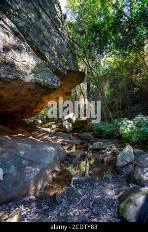 Der Überhang, ein beliebter Touristenort im Cania Gorge National Park, Queensland, Australien Stockfoto