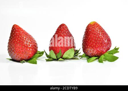 Reife Erdbeere Nahaufnahme isoliert auf weißem Hintergrund Stockfoto