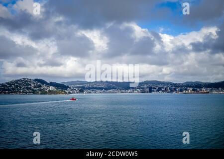 Wellington Blick auf die Stadt vom Meer, Neuseeland Stockfoto