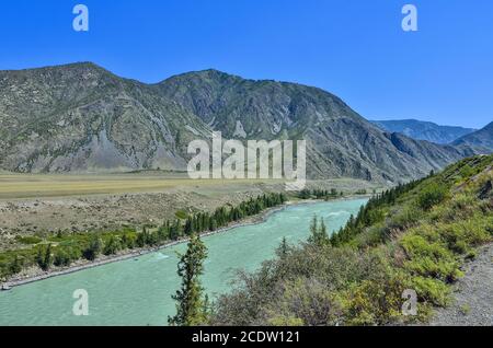 Türkisfarbener Gebirgsfluss Katun, Altai republik, Russland Stockfoto