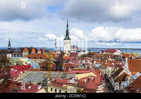 Blick von oben auf die Altstadt von Tallinn Stockfoto