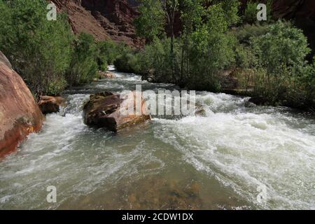 Tapeats Creek fließt in Richtung Colorado River im Grand Canyon National Park, Arizona an sonnigen Sommertagen. Stockfoto