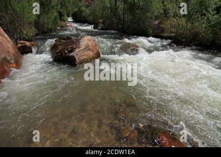 Tapeats Creek fließt in Richtung Colorado River im Grand Canyon National Park, Arizona an sonnigen Sommertagen. Stockfoto