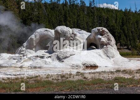 Die einzigartige und detaillierte geothermische Schaffung von Grotto Geysir mit Kuppeln und Bögen und lassen Dampf auf einem sonnigen Sommer Tag im Yellowstone National P Stockfoto