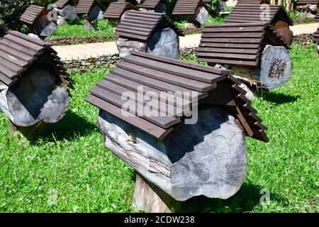 Bienenhaus mit Bienenstöcken in Abchasien Stockfoto