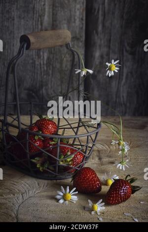 Erdbeeren in den Korb Stockfoto