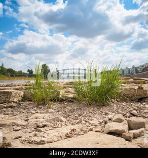 Ausgetrockneter Flussbett der Elbe bei Magdeburg mit Der Cathedral-Rock Stockfoto