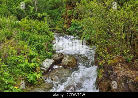 Bergbach mit Wasserfällen, die unter Klippen zwischen Felsbrocken im Altai-Gebirge, Russland fließen Stockfoto