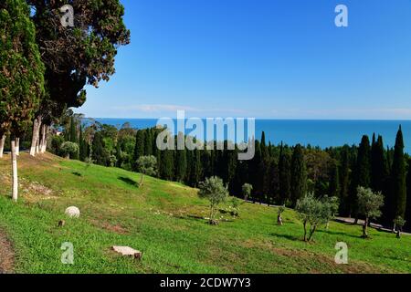 Natur in einem Abchasien in der Nähe von Neuathos Stockfoto