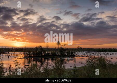 Sonnenaufgang in einem deutschen Sumpf Stockfoto