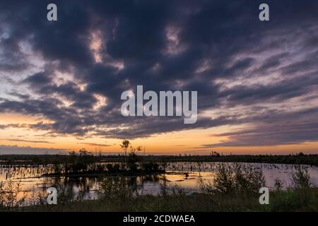 Sonnenaufgang in einem deutschen Sumpf Stockfoto