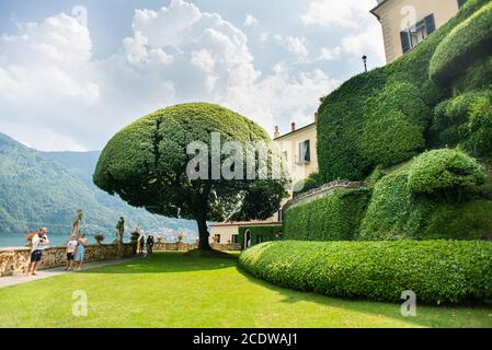 Villa Balbianello. Comer See. Italien - 19. Juli 2019: Berühmter Baum im Garten der Villa del Balbianello am Comer See. Italien. Stockfoto