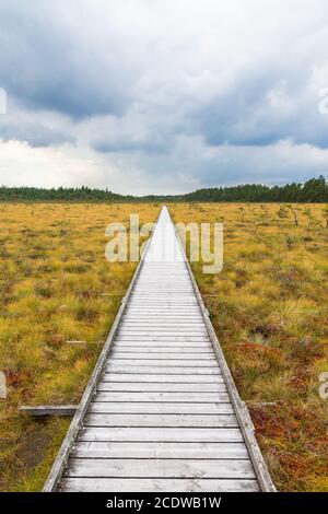 Nature Trail zu einer hölzernen Fußgängerbrücke über ein Moor Stockfoto