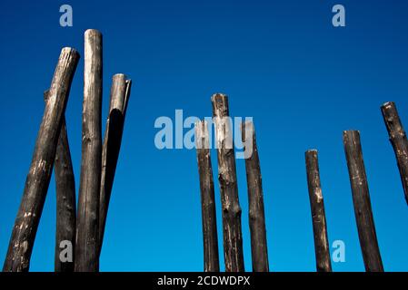 Gruppe von Holzpfählen Stockfoto