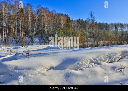 Sonnige Winterlandschaft am Waldrand Stockfoto