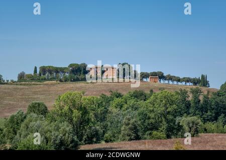 Typische Landschaft in der Toskana im Herbst Stockfoto