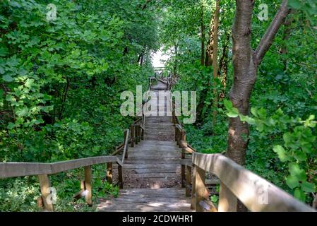 Holztreppe zum Strand am Kap Arkona Stockfoto