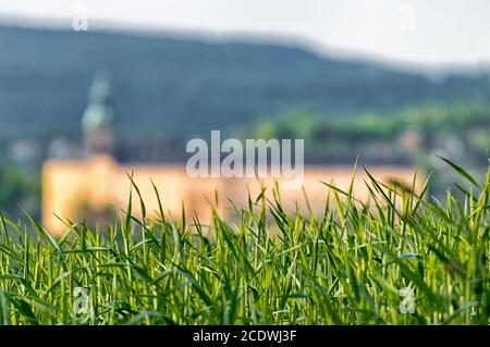 Das Schloss Heidecksburg Rudolstadt im Hintergrund Stockfoto