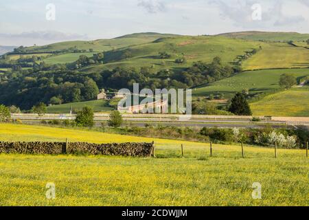 Ein ländlicher Blick auf den Yorkshire Dales Nationalpark und Das Ribblehead Viadukt auch bekannt als Batty Moss Viadukt in Yorkshire Stockfoto