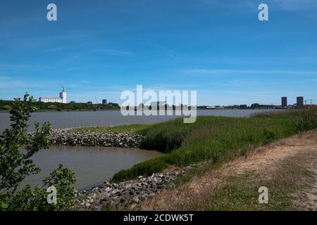 Blick vom linken Ufer zum rechten Ufer gegenüber Die Schelde in Antwerpen Belgien Stockfoto