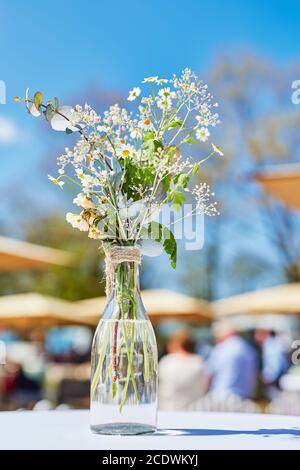 Frühling Blumen in einem transparenten Vase Stockfoto