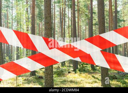 Geschlossener grüner Wildwald. Rette den Wald vor Feuer. Schöner grüner Regenwald geschlossen. Kein Eingang Kiefernwald. Brandschutz. Stockfoto