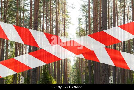 Geschlossener grüner Wildwald. Rette den Wald vor Feuer. Schöner grüner Regenwald geschlossen. Kein Eingang Kiefernwald. Brandschutz. Öffentlicher Park geschlossen Stockfoto