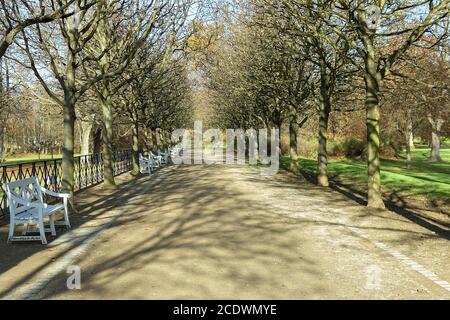 Wiesbaden - Allee mit nostalgischen Bänken im Schlosspark Biebrich Im Dezember Stockfoto