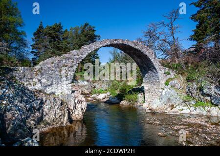 Old Packhorse Bridge, Carrbridge, Schottland Stockfoto