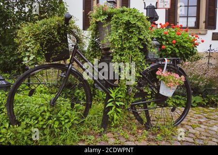 Fahrrad mit einem Korb mit Blumen und Blättern, mit Pflanzen bedeckt Stockfoto