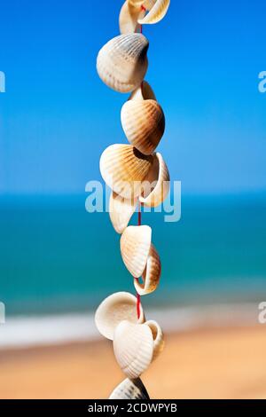 Muscheln an einer Schnur vor Himmel, Meer und Sandstrand Stockfoto