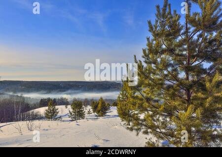 Schöne Wintermorgendlandschaft im Bergwald mit Nebel Stockfoto