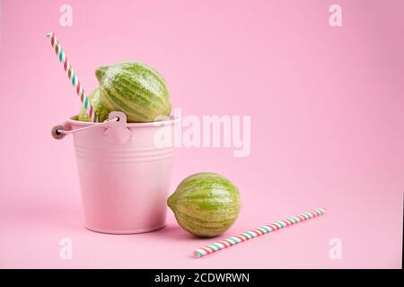 Pinker Eimer mit gestreiften Zitronen und Papier Trinkhalm auf rosa Hintergrund mit Kopierraum. Limonade, ein erfrischendes Getränk aus rosa fleischigem Eurek Stockfoto