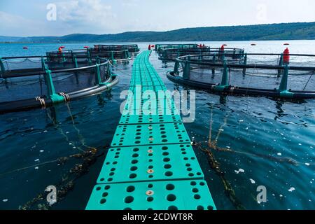 Meeresfarm, Naturpark Sečovlje Saline, Slowenien, Europa Stockfoto