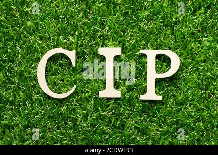 Holz Alphabet Buchstabe im Wort CIP (Abkürzung für „Beförderung und Versicherung bezahlt an“) Auf grünem Gras Hintergrund Stockfoto