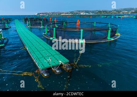 Meeresfarm, Naturpark Sečovlje Saline, Slowenien, Europa Stockfoto