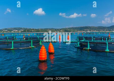 Meeresfarm, Naturpark Sečovlje Saline, Slowenien, Europa Stockfoto