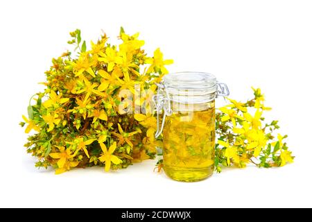 Johanniskraut-Extrakt in Glasflasche und Zweig von frischen gelben Blüten isoliert auf weißem Hintergrund. Blühende Pflanze, heilendes Kraut. Alternative Me Stockfoto