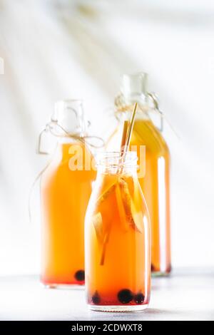 Heidelbeeren, Cranberries fermentiert Rohkombucha mit Ingwer und Zitrone.Tee bereit zu trinken in der Flasche mit umweltfreundlichen Stroh Stockfoto