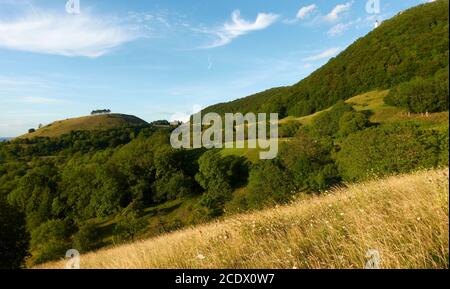 Schöne Landschaft mit grünlichen Wildblumen Wiese und vielen Obstbäumen, das Schloss Teck und der Hügel (Hoernle) kann am Horizont gesehen werden, der Himmel Stockfoto